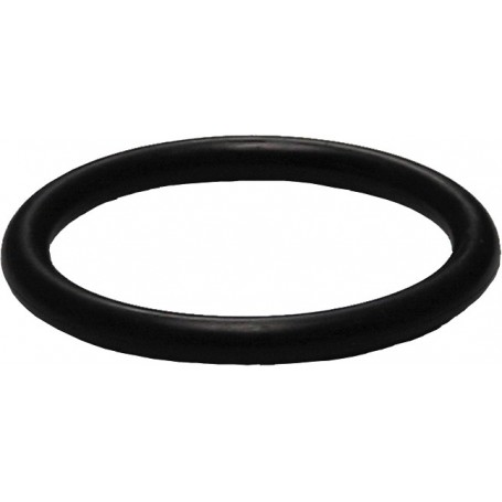 Gasket FI 50mm