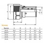 Clamp straight connector GW PEX fi 20x1/2 "mm